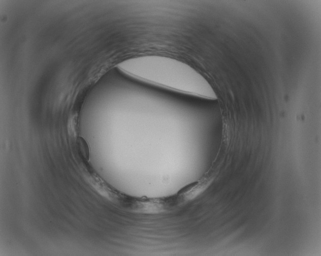 X0000081630286200701151128
