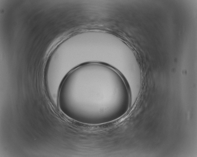 X0000081630293200701151127