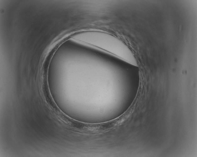 X0000081630295200701151127