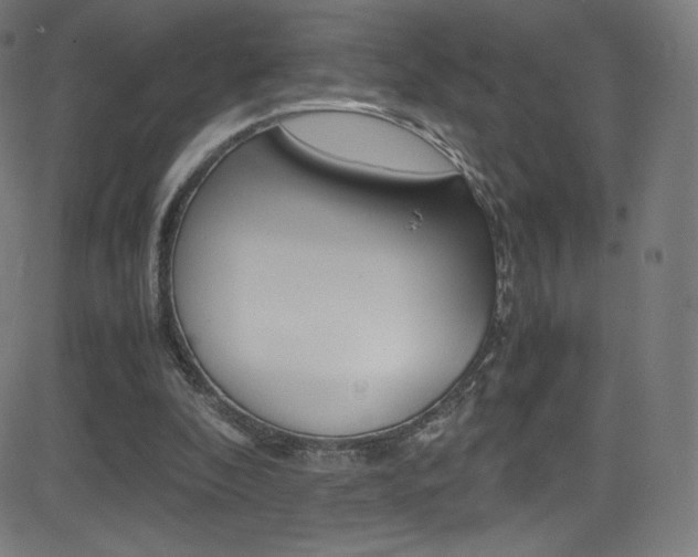 X0000081630296200701151127
