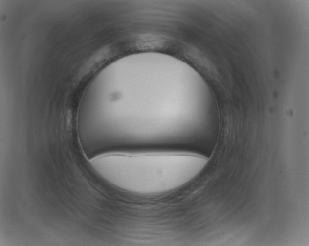 X0000081630308200701151127
