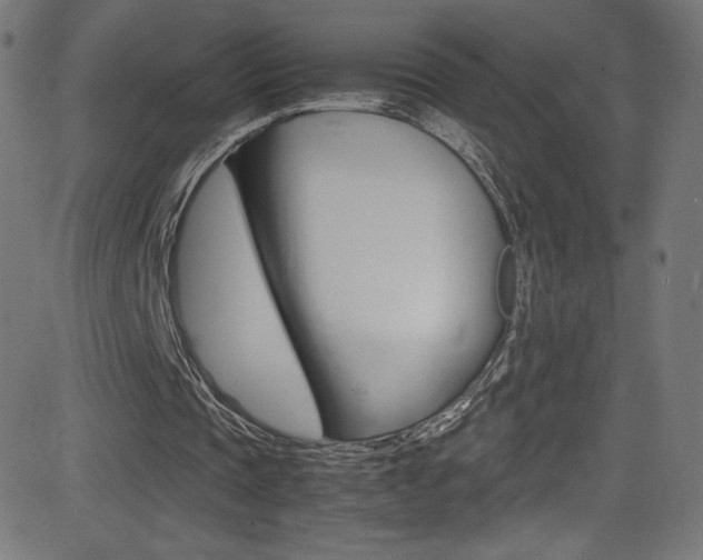 X0000081630337200701151125