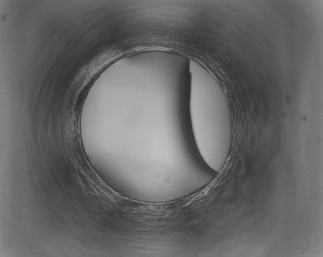 X0000081630338200701151125