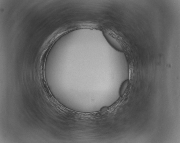 X0000081630339200701151125
