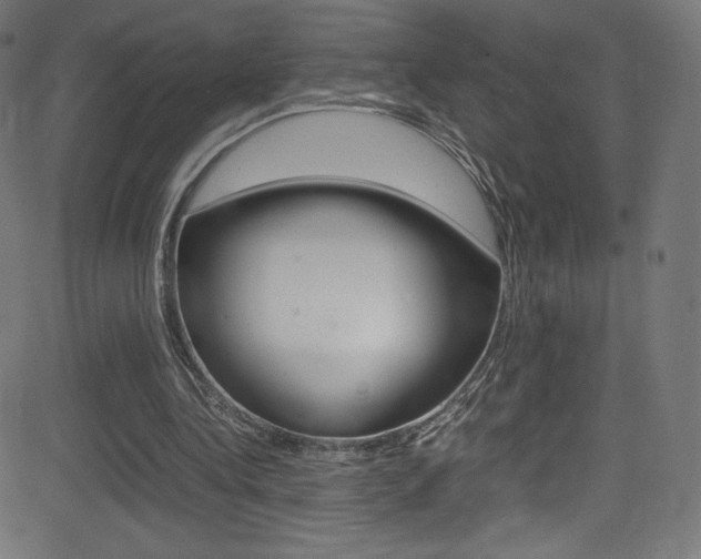 X0000081630340200701151125
