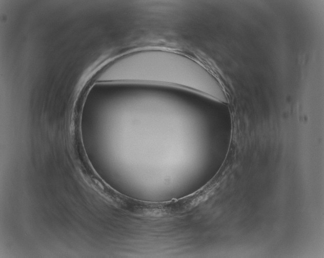 X0000081630344200701151125