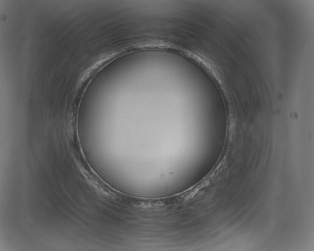 X0000081630345200701151125