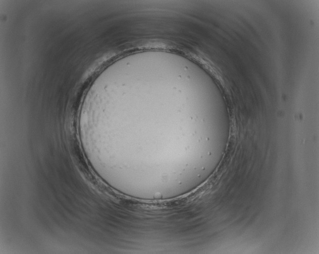 X0000081630347200701151125
