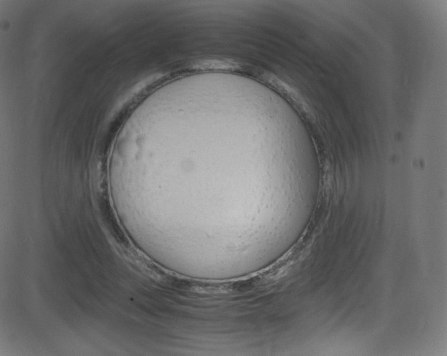 X0000081630351200701151126