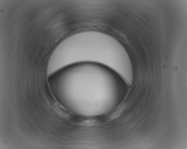 X0000081630364200701151126