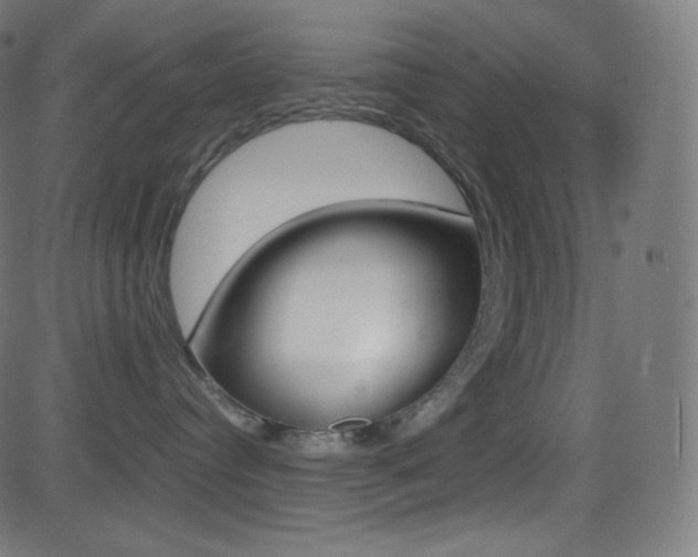 X0000081630384200701151126
