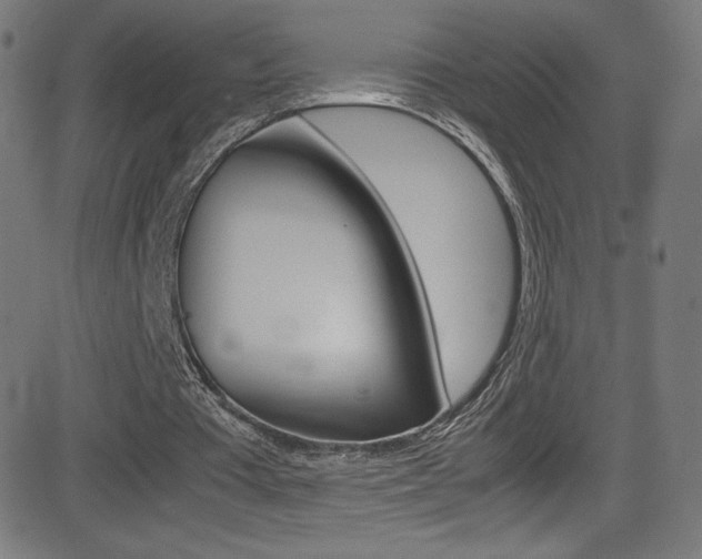 X0000081630385200701151125