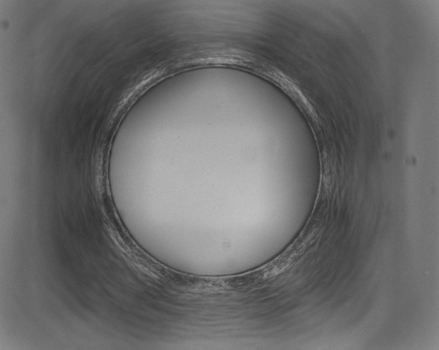 X0000081630386200701151125