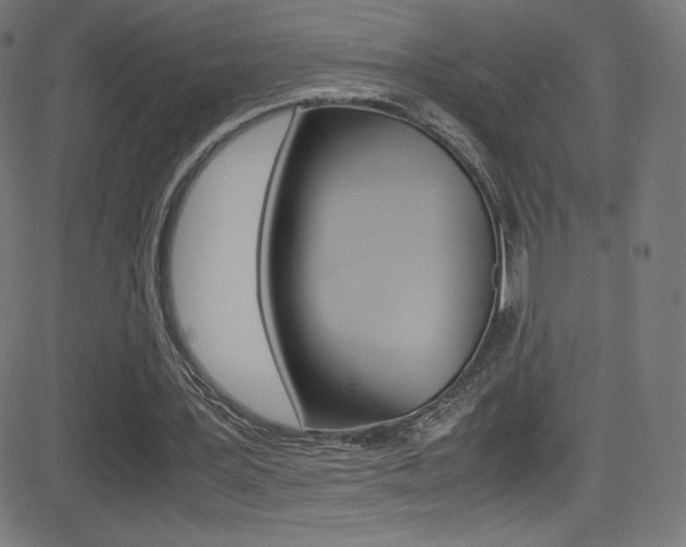 X0000081630387200701151125