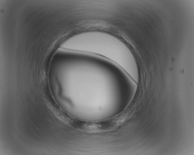 X0000081630407200701151125