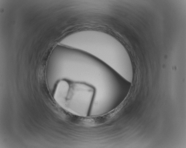 X0000081630409200701151125