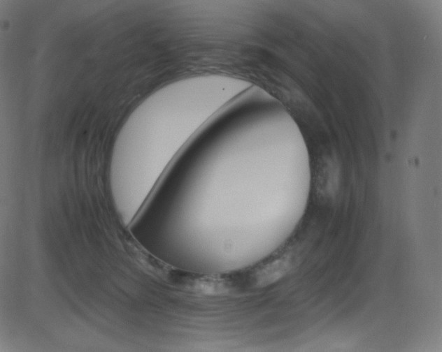 X0000081630420200701151125
