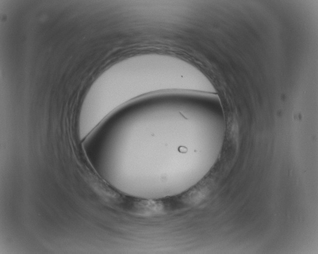 X0000081630421200701151125