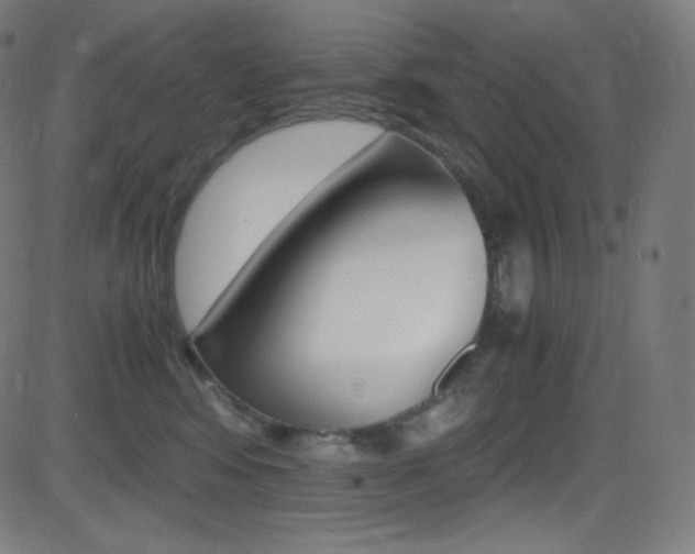 X0000081630424200701151125