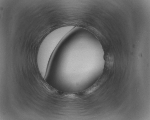 X0000081630428200701151125
