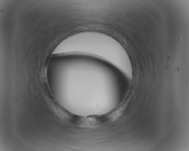 X0000081630429200701151125