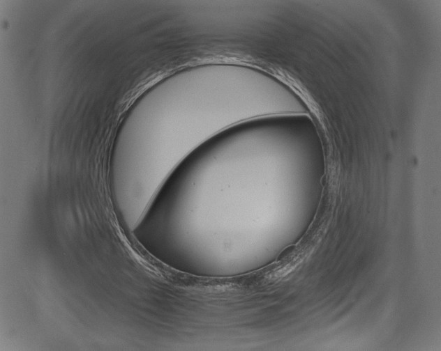 X0000081630433200701151124