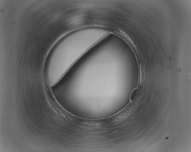 X0000081630435200701151124