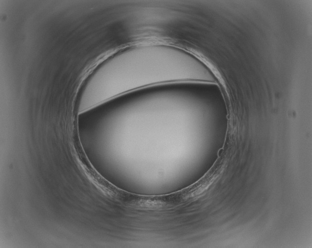 X0000081630437200701151124