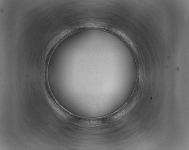 X0000081630445200701151124