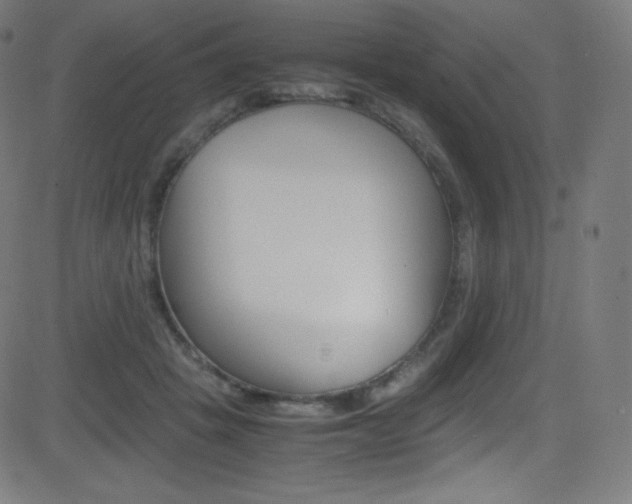 X0000081630457200701151124