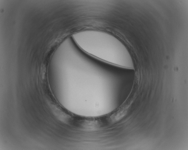 X0000081630458200701151124