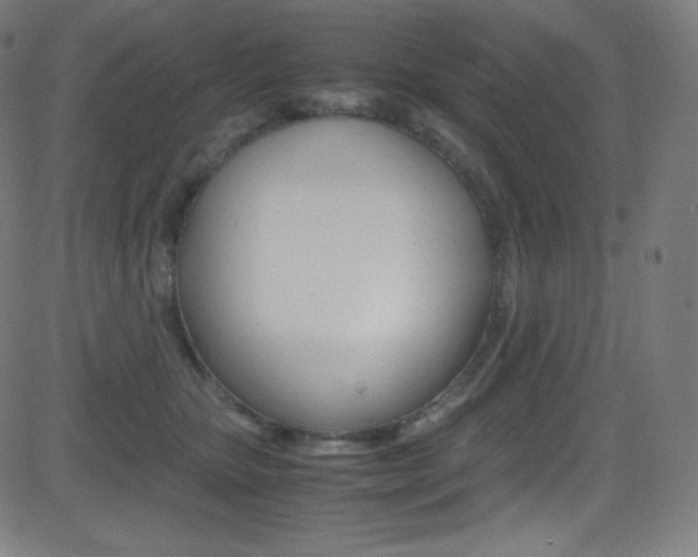 X0000081630467200701151124