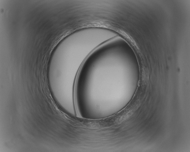 X0000081630481200701151124