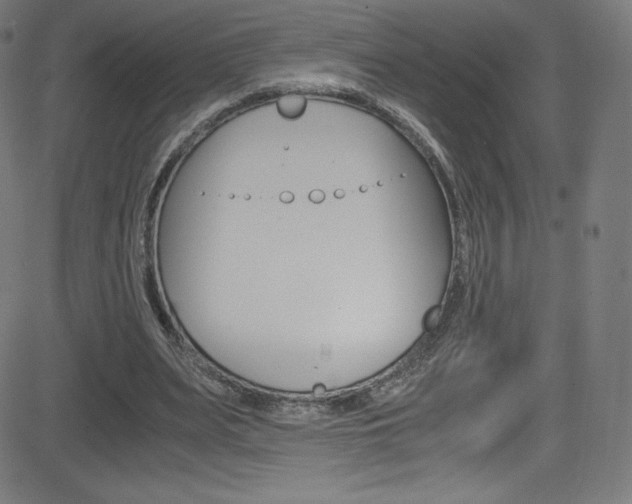 X0000081630487200701151124