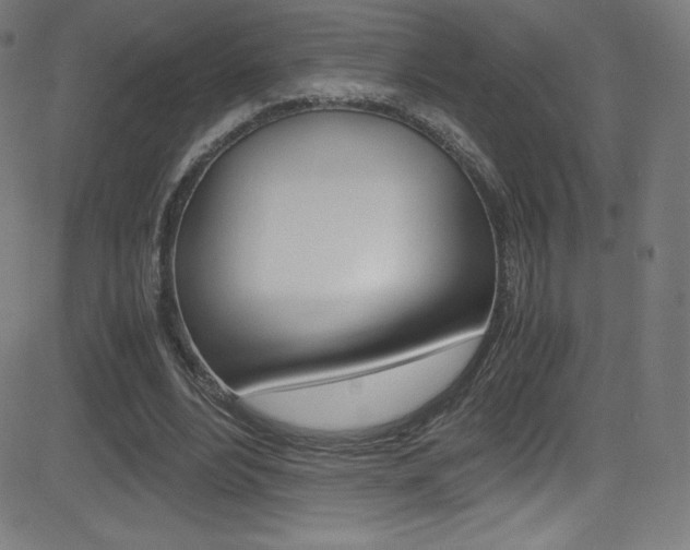 X0000081630488200701151124