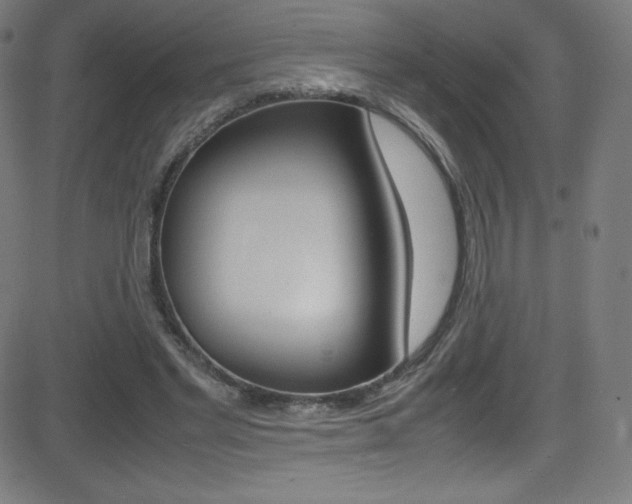 X0000081630493200701151124
