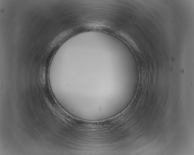 X0000081630494200701151123