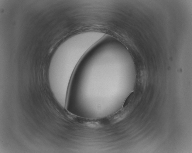 X0000081630508200701151123