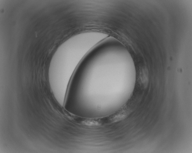 X0000081630512200701151123