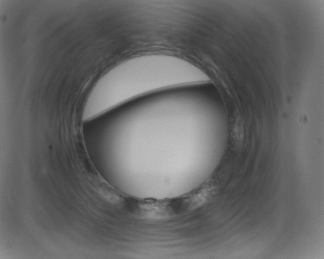 X0000081630516200701151123
