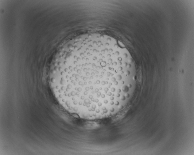 X0000081630519200701151123