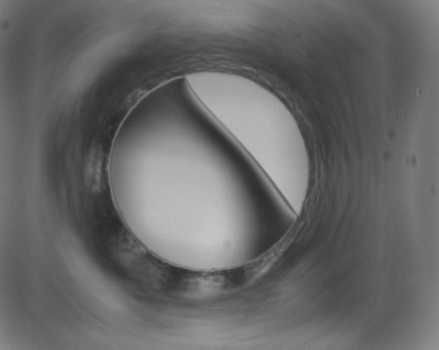 X0000081630525200701151123