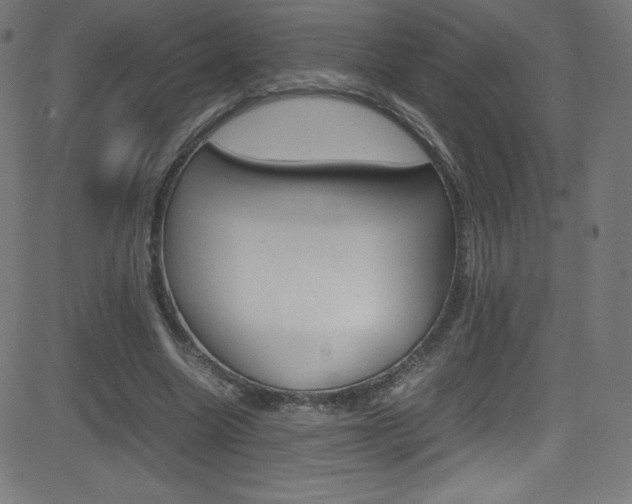 X0000081630538200701151122