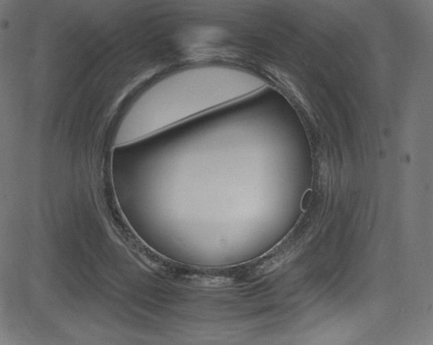 X0000081630539200701151122