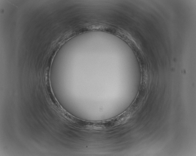 X0000081630545200701151122