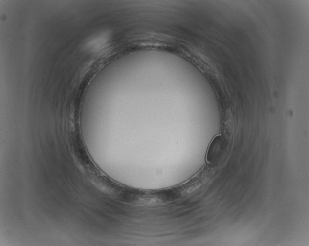 X0000081630547200701151122