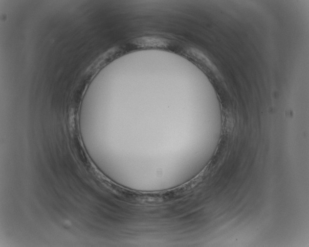 X0000081630549200701151122