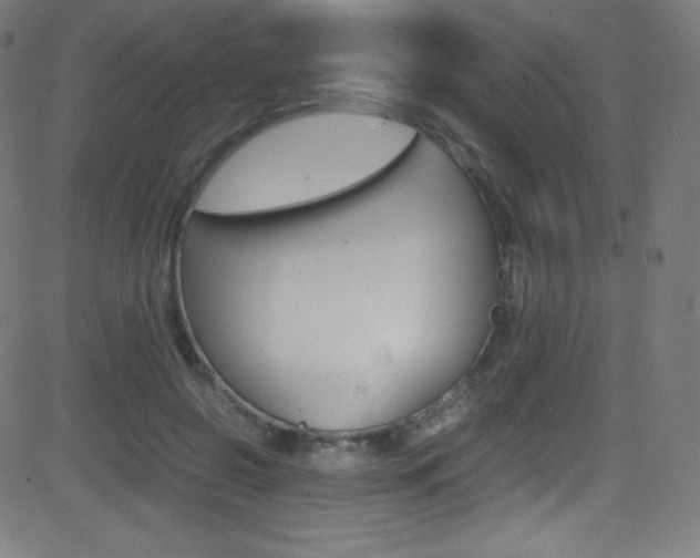 X0000081630550200701151122