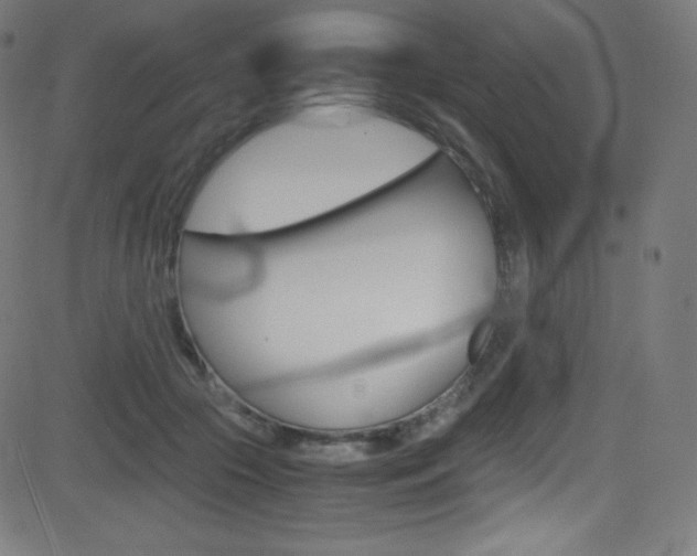 X0000081630553200701151123