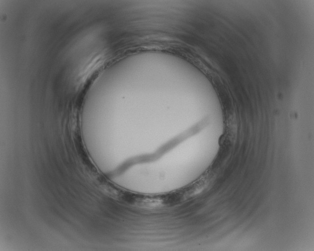 X0000081630554200701151123
